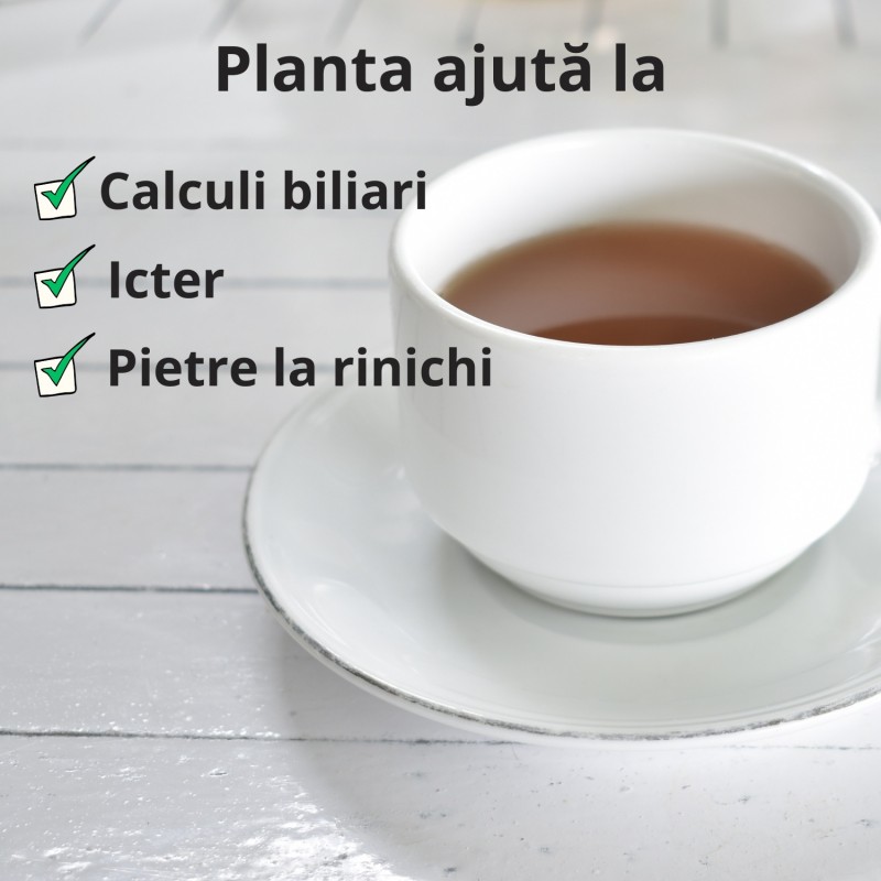 Radacina de Papadie - 100g