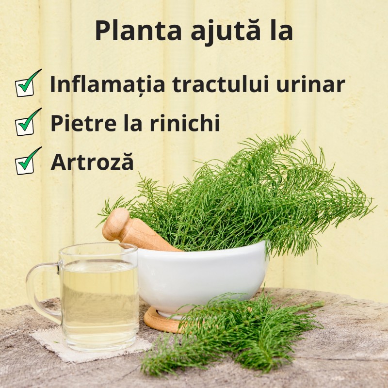 Tulpina de Coada-calului - 70g