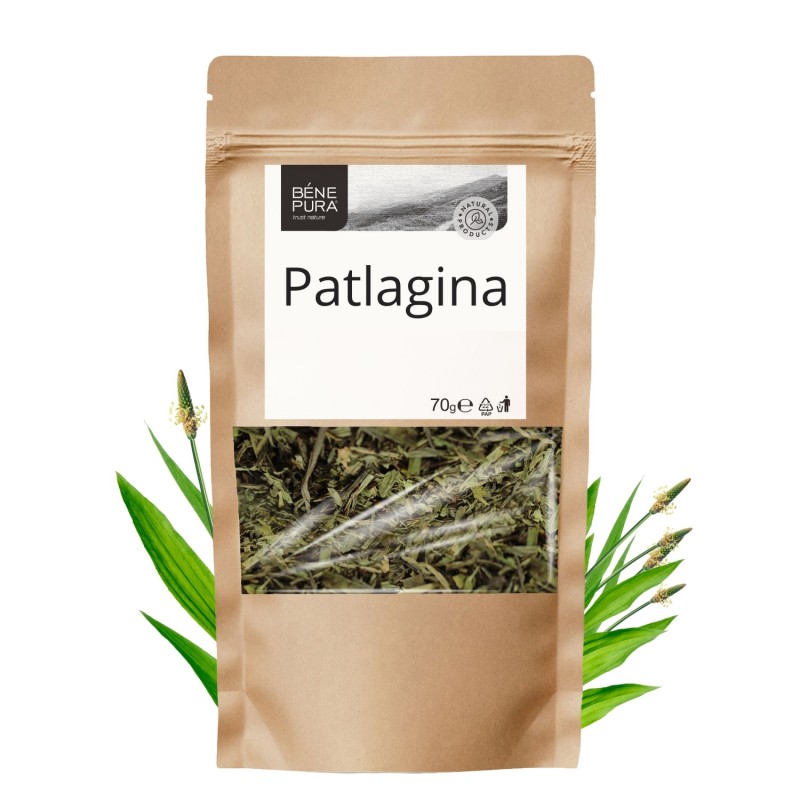 Patlagina - 70g - Planta pentru stomac