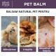 3x Balsam Anti Iritație Pentru Animale de Companie cu Pătlagină - 40ml