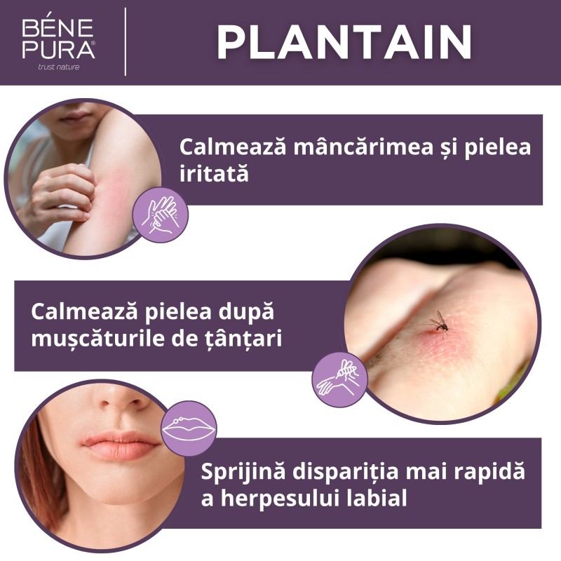 Set Unguente pentru Răni, Arsuri și Mâncărime 2