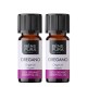 2x Bio Oregano Ulei esențial - 10ml