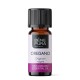 Bio Oregano Ulei esențial - 10ml