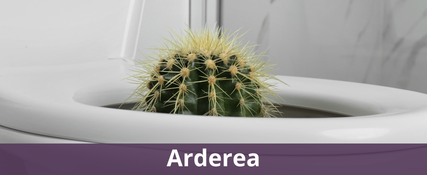 Arderea