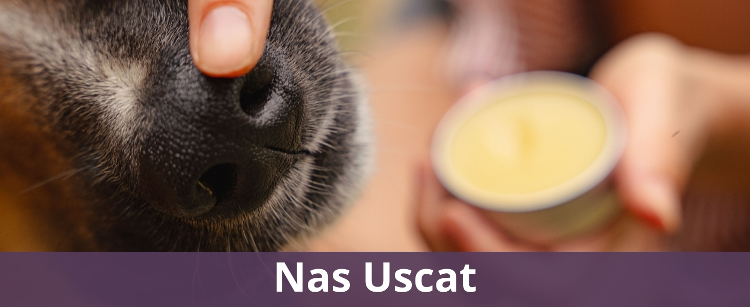 Nas Uscat