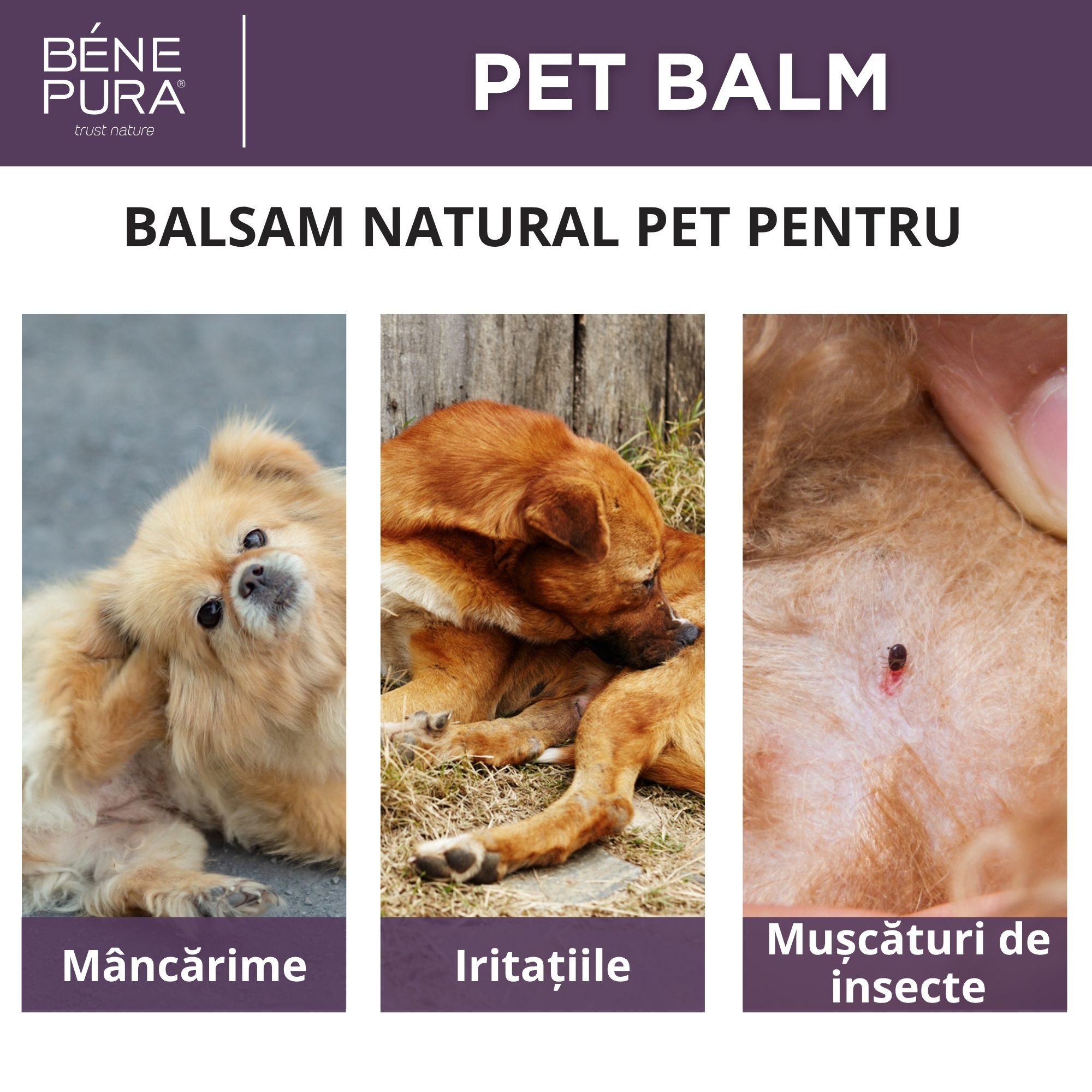 Balsam Anti Iritație Pentru Animale de Companie cu Pătlagină - 40ml