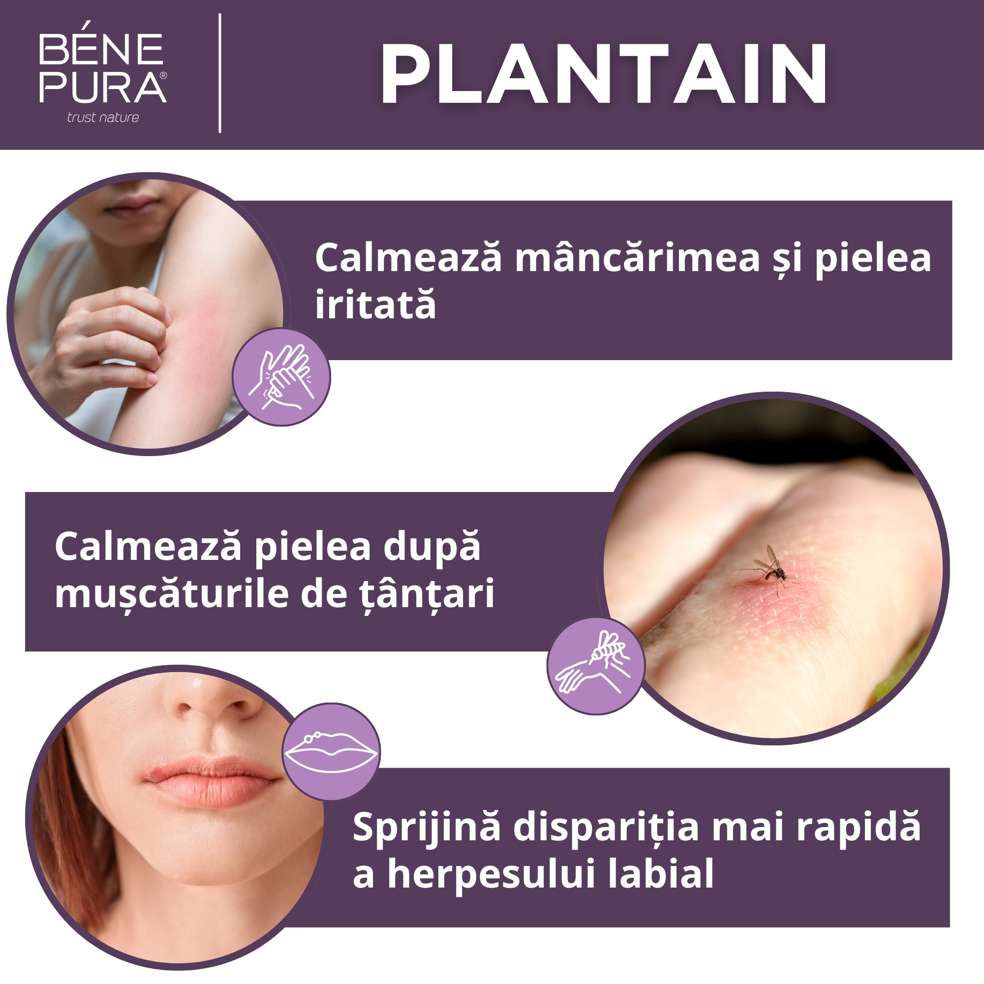 Set "Unguente pentru Răni, Arsuri și Mâncărime 2"