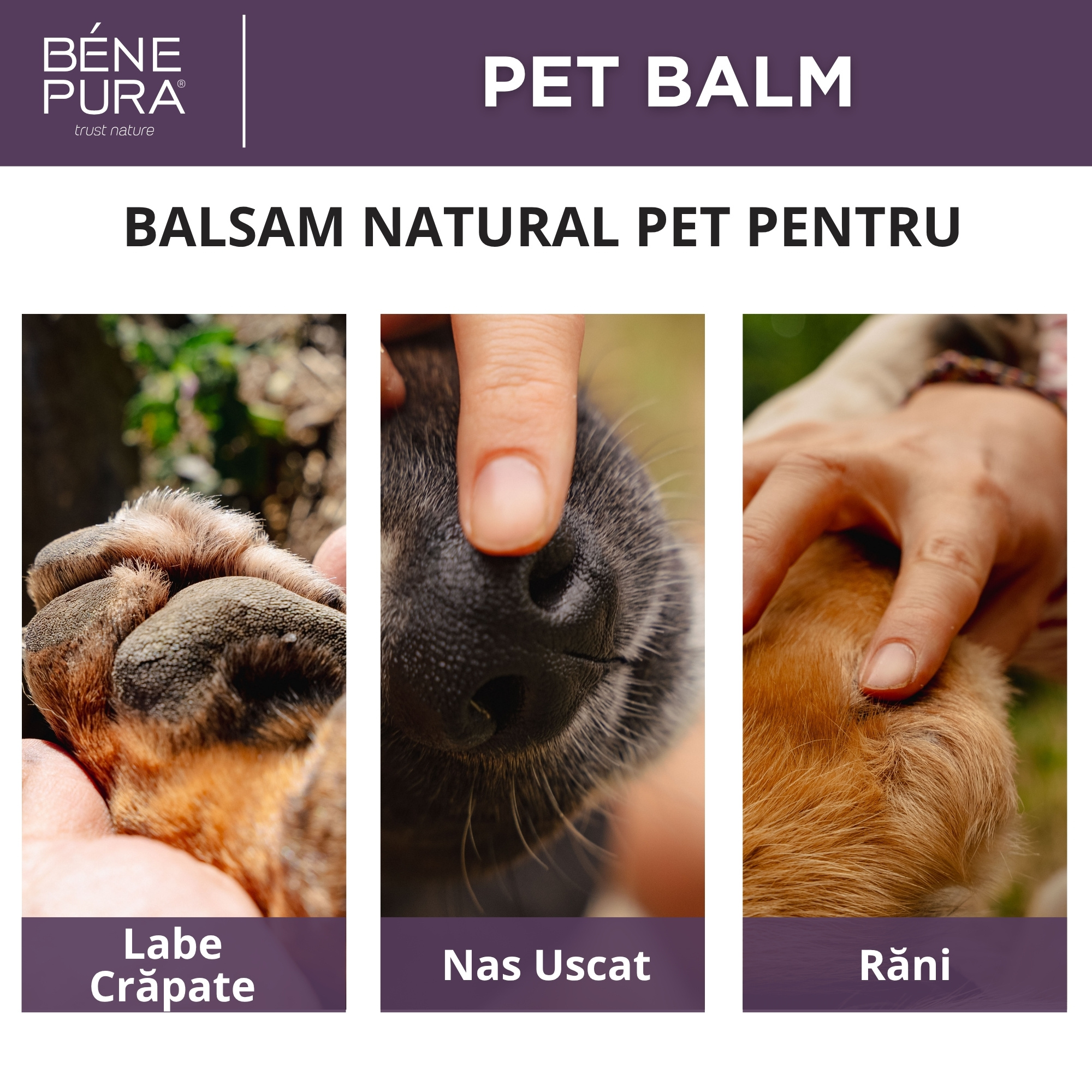 Balsam Regenerant Pentru Animale de Companie cu Calendula - 40ml