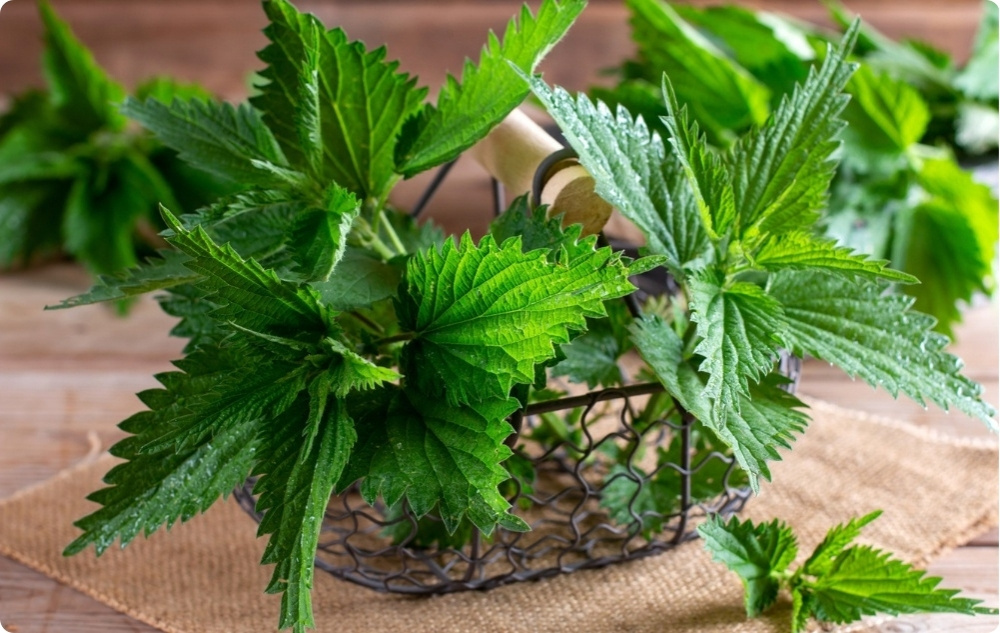 Unguent pentru Articulații cu Comfrey și Urzică - 40ml